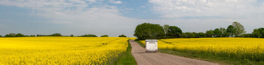 Anfahrt: Campingplatz Hemmelmark