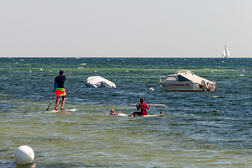 Stand Up Paddling (SUP)